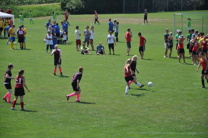 Vorschau fodos2013