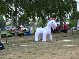 fussidunier_2022_273